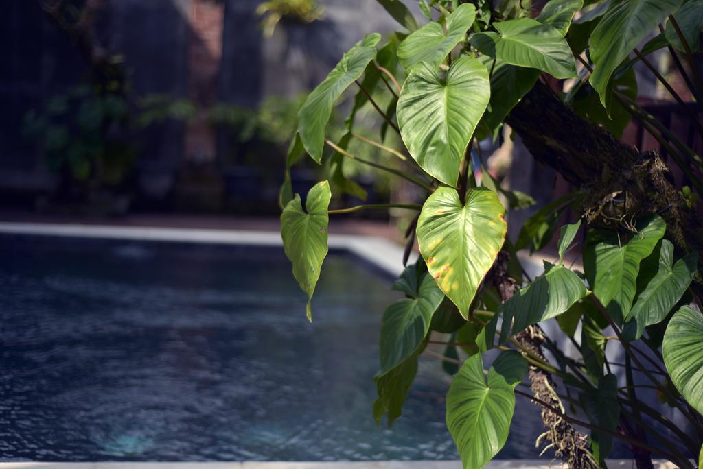 Wooden Villa By Prasi Ubud  Bagian luar foto